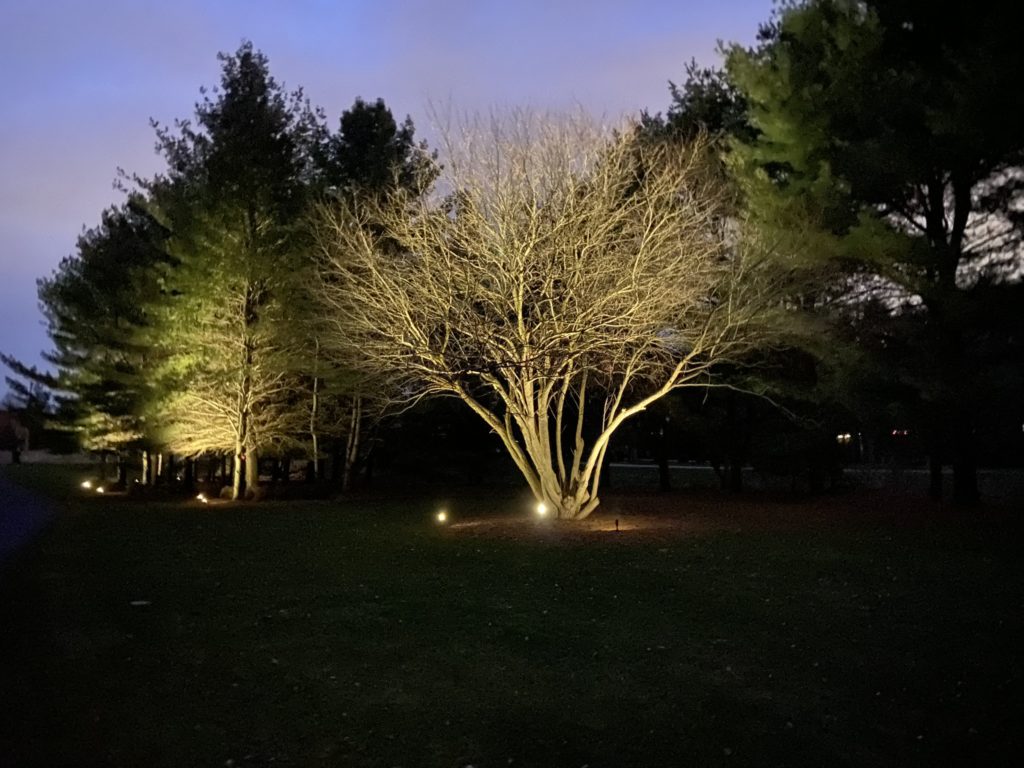 Twilight Solutions | Landscape Lighting