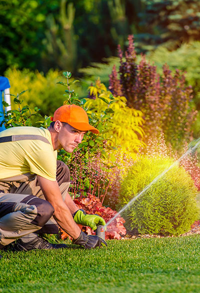 Twilight Solutions | Irrigation Repair