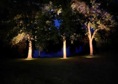 Landscape Lightning Installation by Twilight Solutions