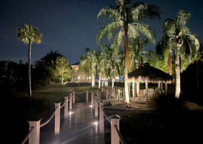 Pier and Tree Lighting Installation