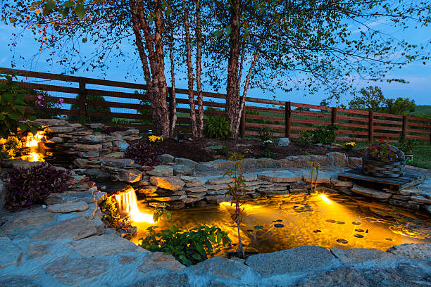 Twilight Solutions | Landscape Lighting Near Me: What to Know Before You Buy