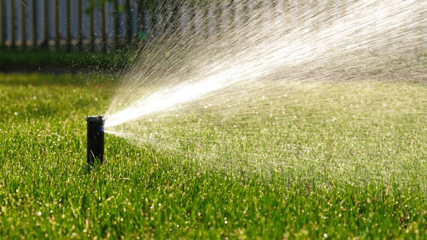 Lawn Sprinkler